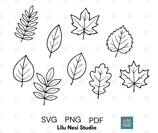 botanical leaves svg bundle with minimalist leaf line art illustrations