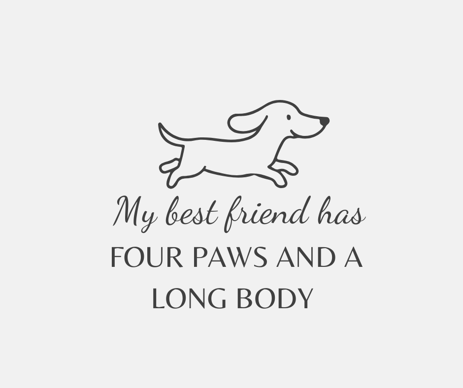 cute dog svg files with happy dachshund illustrations
