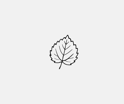 minimalist botanical svg files for stickers journaling and diy projects